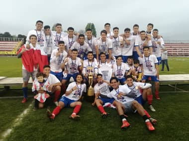 Deportes Linares se tituló campeón de la Tercera A