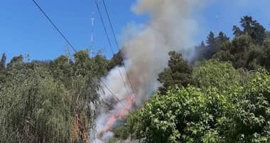 Incendio afectó Parque Cerro Condell por segunda vez esta semana