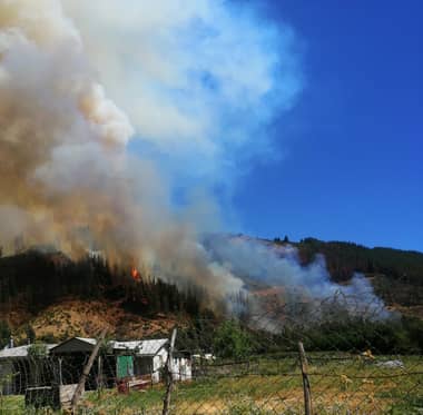 Intendencia del Maule decretó Alerta Amarilla para Curicó por incendio en Chequenlemu