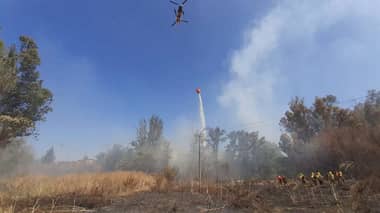 Onemi declara Alerta Roja para Talca por incendio forestal