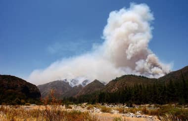 Incendio forestal se acerca a sector de Monte Grande y habitantes solicitan ayuda