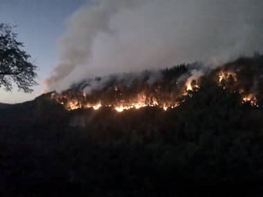Sector Radal de Molina fue completamente evacuado por incendio forestal
