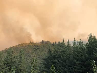 Incendio en Alupenhue estaría controlado y brigadas siguen trabajando en sector norte de Molina