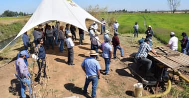 Expertos entregan alternativas para un cultivo de arroz más sustentable
