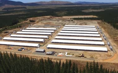 Corte de Talca acogió recurso contra faenadora Coexca por contaminación en San Javier