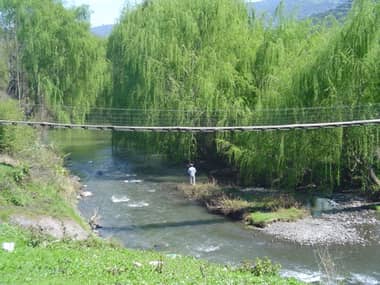 Pandillas se enfrentaron con cuchillos en Puente Cimbra de Rauco