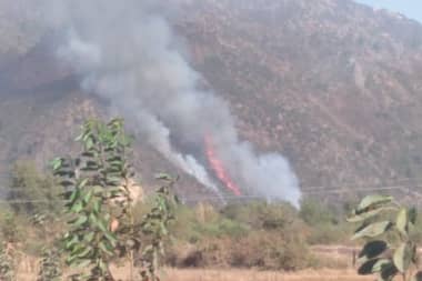 Incendio forestal afecta a sector de La Puntilla en comuna de Molina