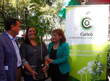 Dirección de Medioambiente de Curicó realiza segunda jornada de “Yo adopto un árbol”