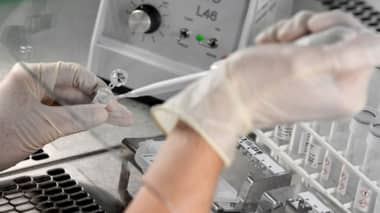 Científicos australianos afirman que un conocido antiparasitario "elimina al coronavirus en 48 horas"