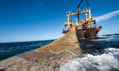 Sobregiro ecológico: Chile agotó hoy sus recursos naturales renovables disponibles para 2020