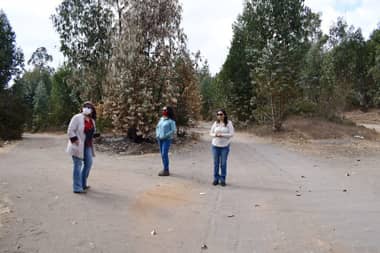60 viviendas construidas en madera beneficiarán a familias de Putú