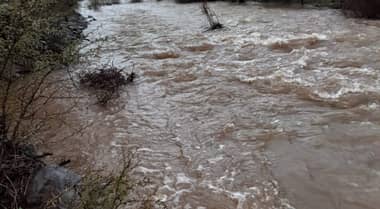 Habitantes de El Parrón vuelven a ver agua en los esteros después de 12 años de sequía