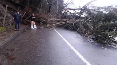ONEMI entrega antecedentes de fenómeno natural registrado en Llico