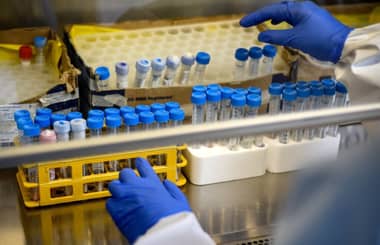 ¿Qué es el R0?: el número que siguen los científicos para ver la intensidad del coronavirus