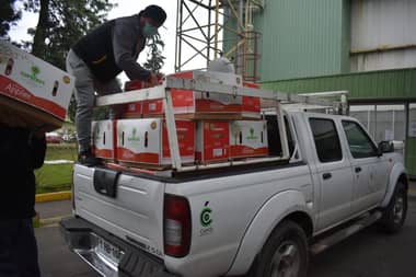 Empresa frutícola curicana donó 5 mil kilos de fruta para ayudar a la comunidad