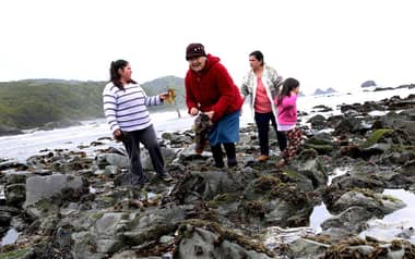 Seremi de la Mujer se reunió con pescadoras con el fin de impulsar la gastronomía y el turismo