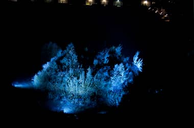 Este martes el mundo del espectáculo realizará intervención lumínica en Curicó