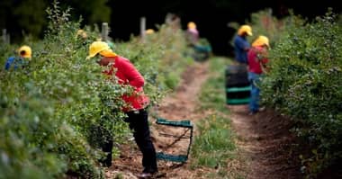 OMIL Rauco realiza capacitaciones y difunde ofertas laborales de temporada