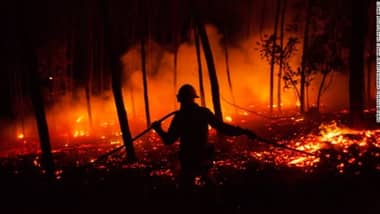 Incendio de vivienda derivó en emergencia forestal en sector Puente Pancho de Molina