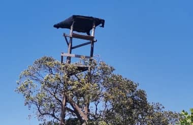 Radio operadores torreros de Conaf denuncian precarias condiciones laborales