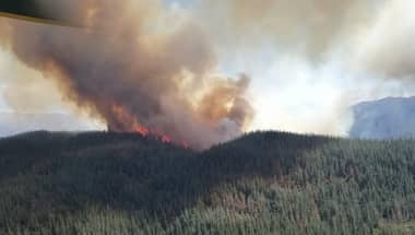Intendencia de O'Higgins declaró alerta roja por incendio forestal en San Fernando
