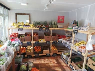 Crean fondos para ayudar a emprendedores de Molina