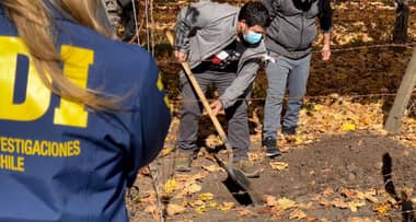 Investigan presunto envenenamiento masivo de perros en Nancagua