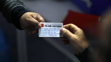 Gobierno preparó propuesta preliminar para implementar un "carnet verde" para inoculados
