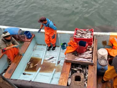Pescadores de caleta de Duao cortaron ruta entre Curicó e Iloca para protestar por quedar fuera del Bono Pyme