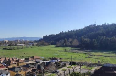 Concejal Sanz pidió a alcalde de Curicó oficiar al Ministerio de Medio Ambiente por humedal del Parque Cerro Condell