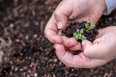 Municipio de Curicó conforma mesa intersectorial para proyecto de Granja Educativa Agroecológica