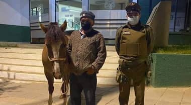 Detienen a dos hombres por robo de un caballar