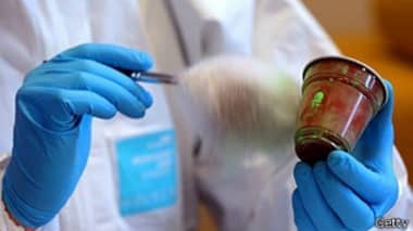 Huellas dactilares delatan a ladrón de vivienda en sector residencial de Zapallar