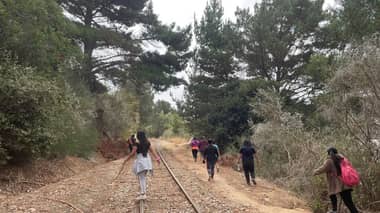 Intensa búsqueda de joven de 21 años desaparecido en Constitución