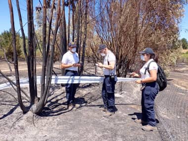 Incendios en Cauquenes fueron controlados y se mantiene alerta amarilla por condiciones climáticas