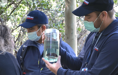 Seremi de Salud del Maule confirma primer caso de Hanta virus en la región