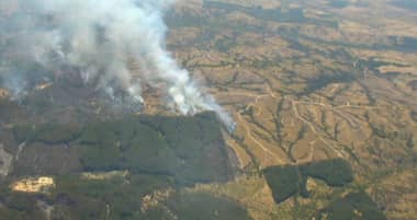 Incendios en Cauquenes han afectado más de mil hectáreas