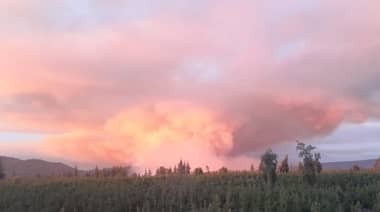 Incendio forestal en sector de Chequenlemu afecta 150 hectáreas de bosque
