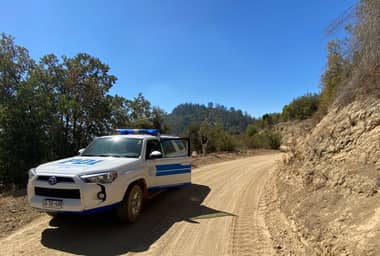 Osamentas encontradas en sector El Peumal de Romeral corresponden a un animal