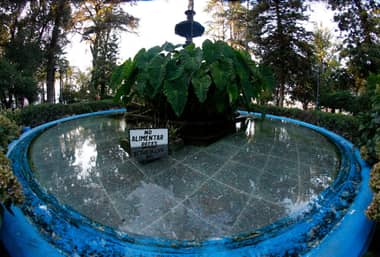 Municipio de Curicó denuncia robo de peces desde pileta central de la Plaza de Armas