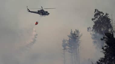 Incendio forestal en Vichuquén fue contenido tras declararse alerta roja