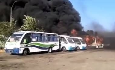 Seis minibuses destruidos y cuatro casas afectadas dejó incendio en Curicó