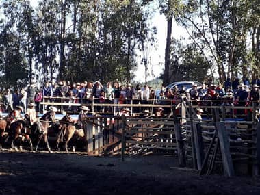 Este sábado vuelve a La Quirigua de Vichuquén la gran fiesta del Día del Trabajador