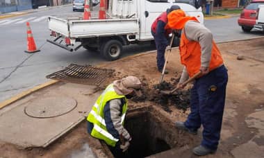 Municipio de Hualañé instruyó corte de árboles y limpieza de sumideros previo a las lluvias