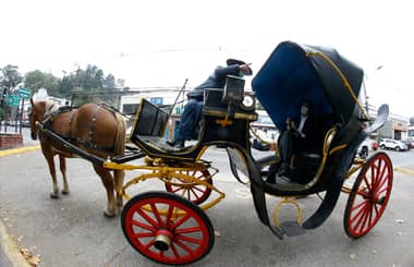 Municipio de Curicó conmemorará Día de los Patrimonios con actividades y exposiciones