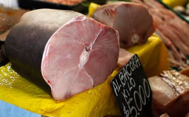 Detectan carne de tiburón comercializada como Albacora