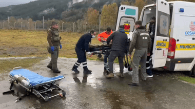 Trabajadores forestales fueron baleados en La Araucanía: uno de ellos se encuentra en riesgo vital