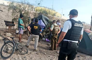 Detienen a cuatro sujetos que asaron a un lobo marino en Arica