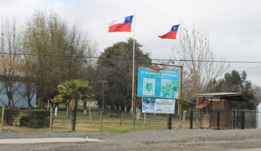 Alumna de 15 años fue detenida por Carabineros tras agredir a compañera en Liceo Padre Hurtado de Molina
