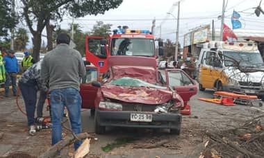 Una fallecida y un herido grave dejó caída de árbol sobre automóvil en Romeral